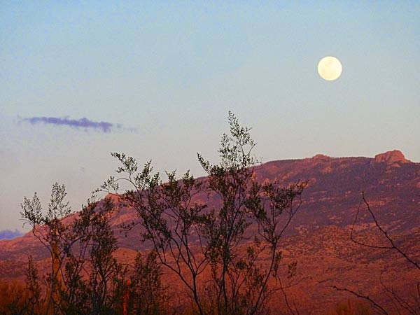 Great Big Moon